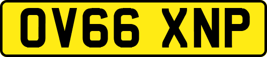 OV66XNP