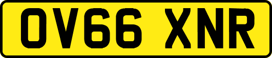 OV66XNR