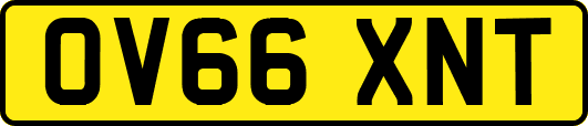 OV66XNT