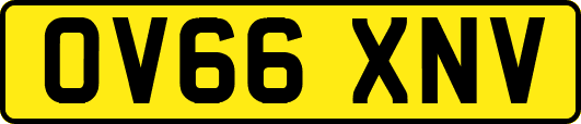 OV66XNV