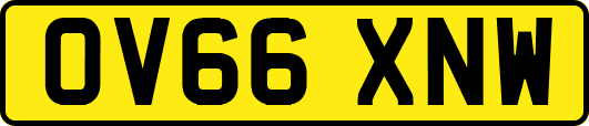 OV66XNW