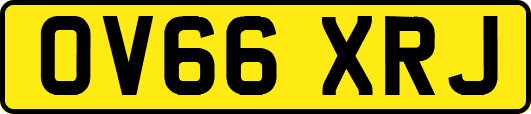 OV66XRJ