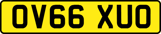 OV66XUO