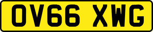 OV66XWG
