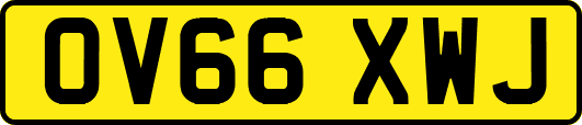 OV66XWJ