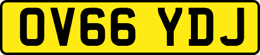 OV66YDJ