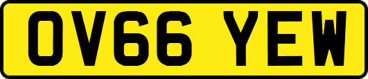 OV66YEW