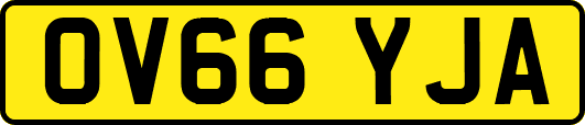 OV66YJA