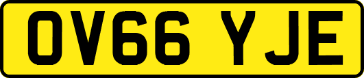 OV66YJE