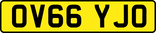 OV66YJO