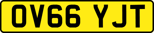 OV66YJT