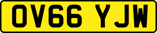 OV66YJW