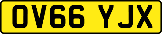 OV66YJX
