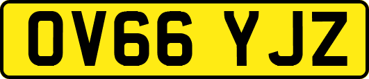 OV66YJZ