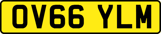 OV66YLM