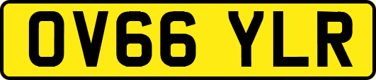 OV66YLR