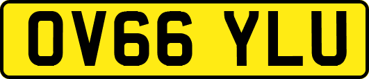OV66YLU