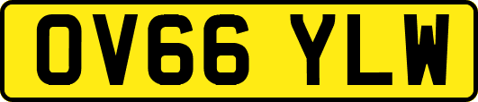 OV66YLW