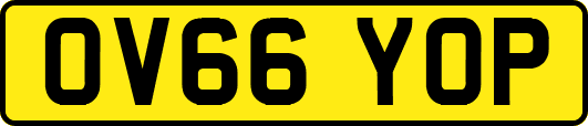 OV66YOP