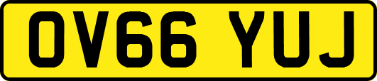 OV66YUJ