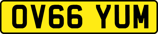 OV66YUM