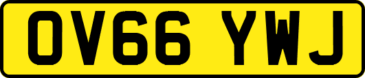 OV66YWJ