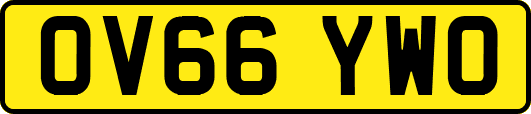 OV66YWO