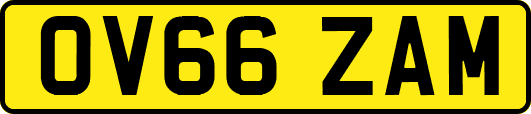 OV66ZAM