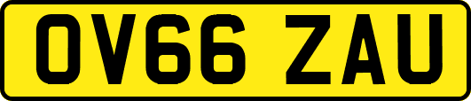 OV66ZAU