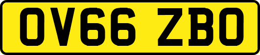 OV66ZBO