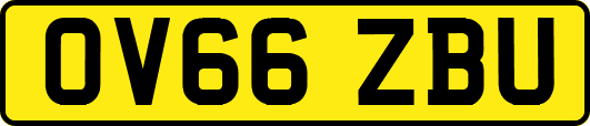 OV66ZBU