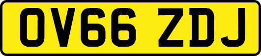 OV66ZDJ