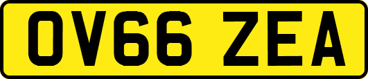 OV66ZEA