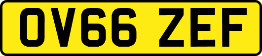 OV66ZEF