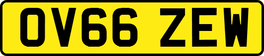 OV66ZEW
