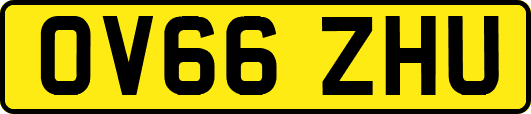 OV66ZHU