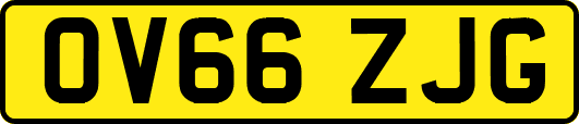 OV66ZJG