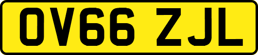 OV66ZJL