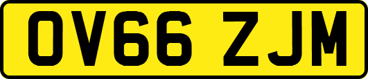 OV66ZJM