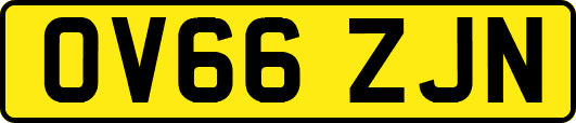 OV66ZJN