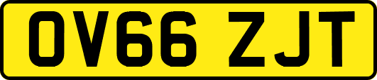OV66ZJT