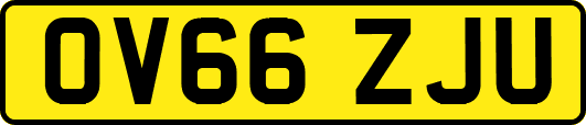 OV66ZJU