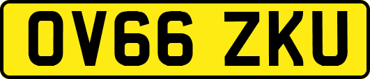OV66ZKU