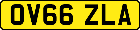 OV66ZLA