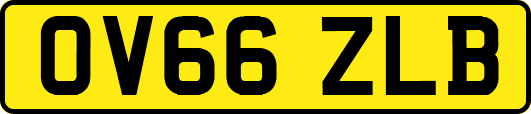 OV66ZLB