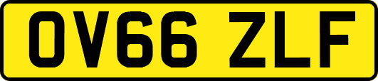 OV66ZLF