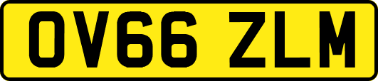 OV66ZLM