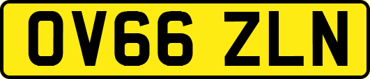 OV66ZLN