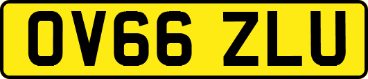 OV66ZLU