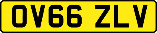 OV66ZLV